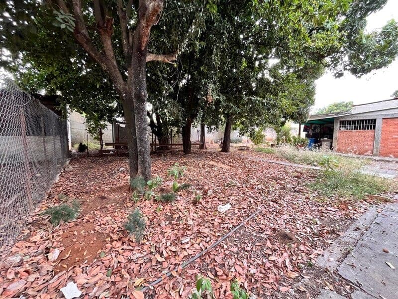 Foto 4 de Terreno en Barquisimeto