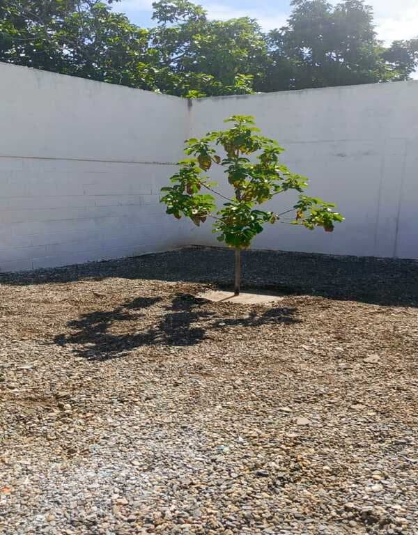 Foto 11 de Casa en Barquisimeto