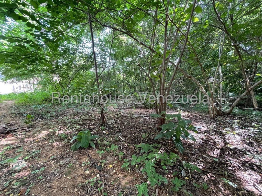 Foto 4 de Terreno en Agua Blanca, Valencia