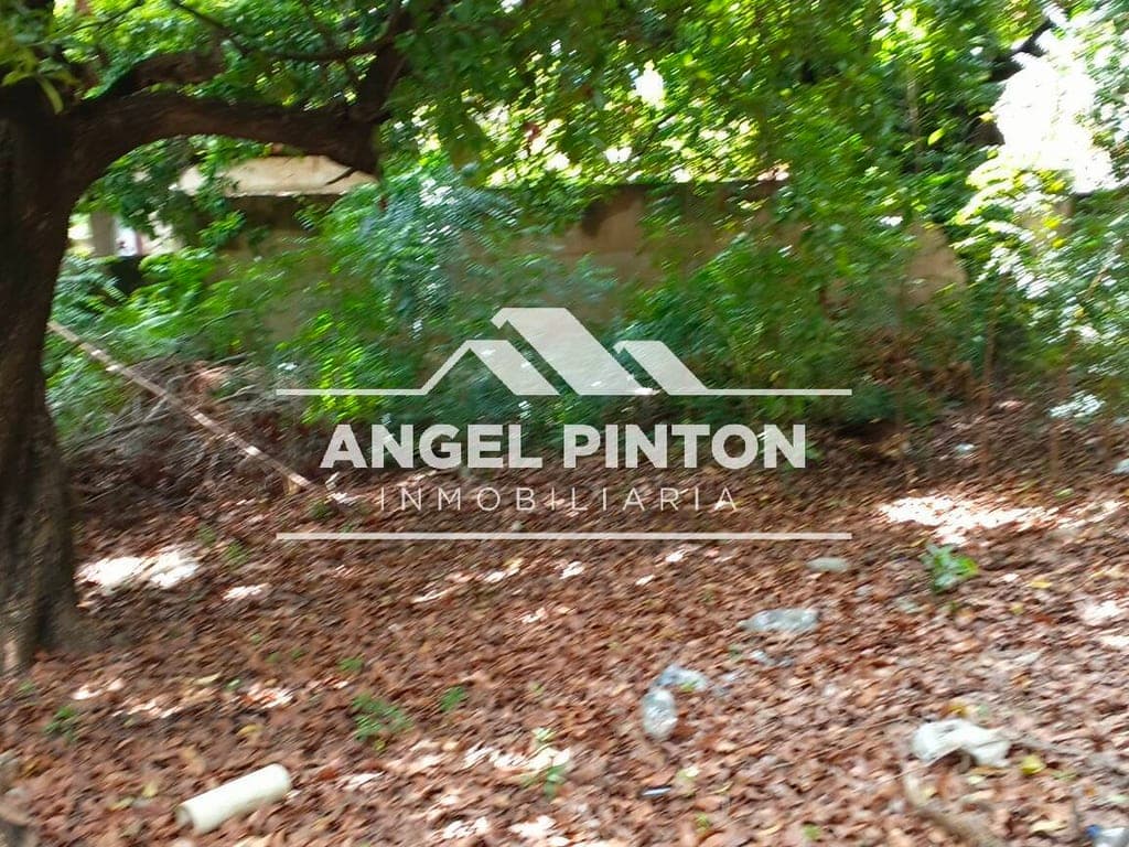 Foto 7 de Terreno en Tierra Negra, Maracaibo