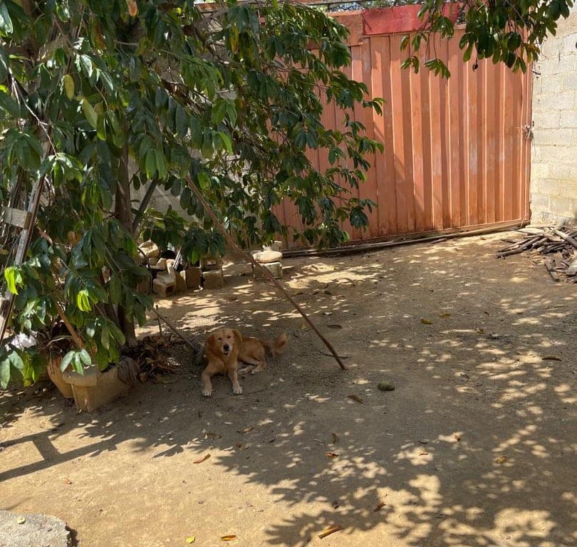 Foto 2 de Casa en Las Casitas, Barquisimeto